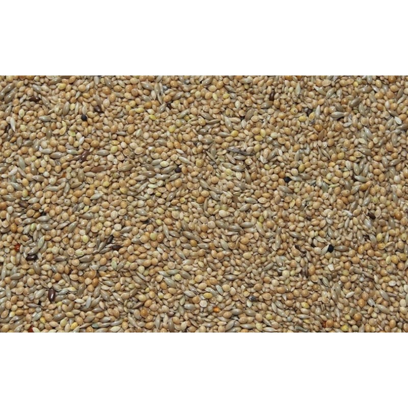 Gouldsamadineblanding-32