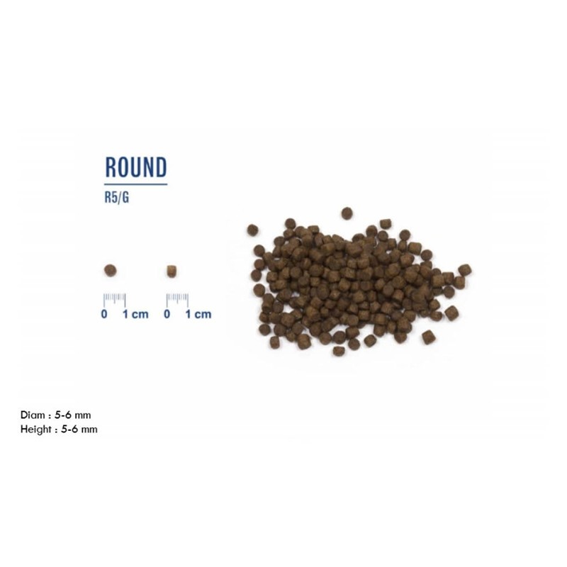 LIVEPuppyMiniKalkunRis2Kg-01