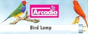 ArcadiaBirdLamp26mm-31