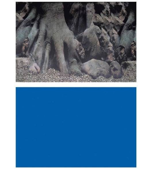 SUPERFISHDecoPosterD120x49cm-31