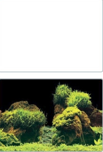 SUPERFISHDecoPosterE-34