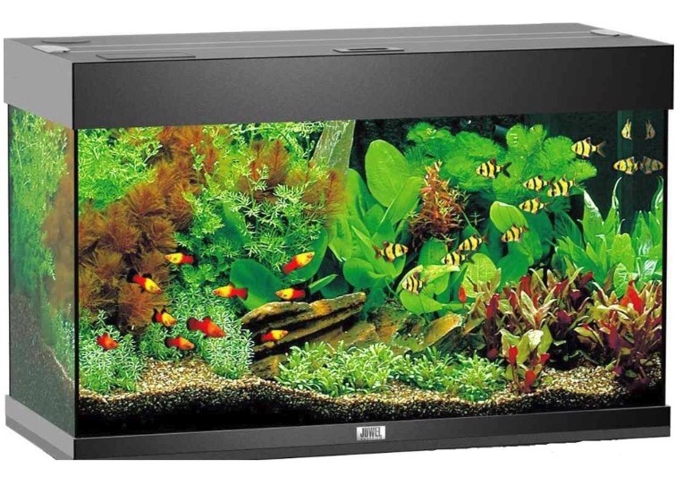 JUWELRIO125LEDAKVARIUMOBSBestillingsvare-31