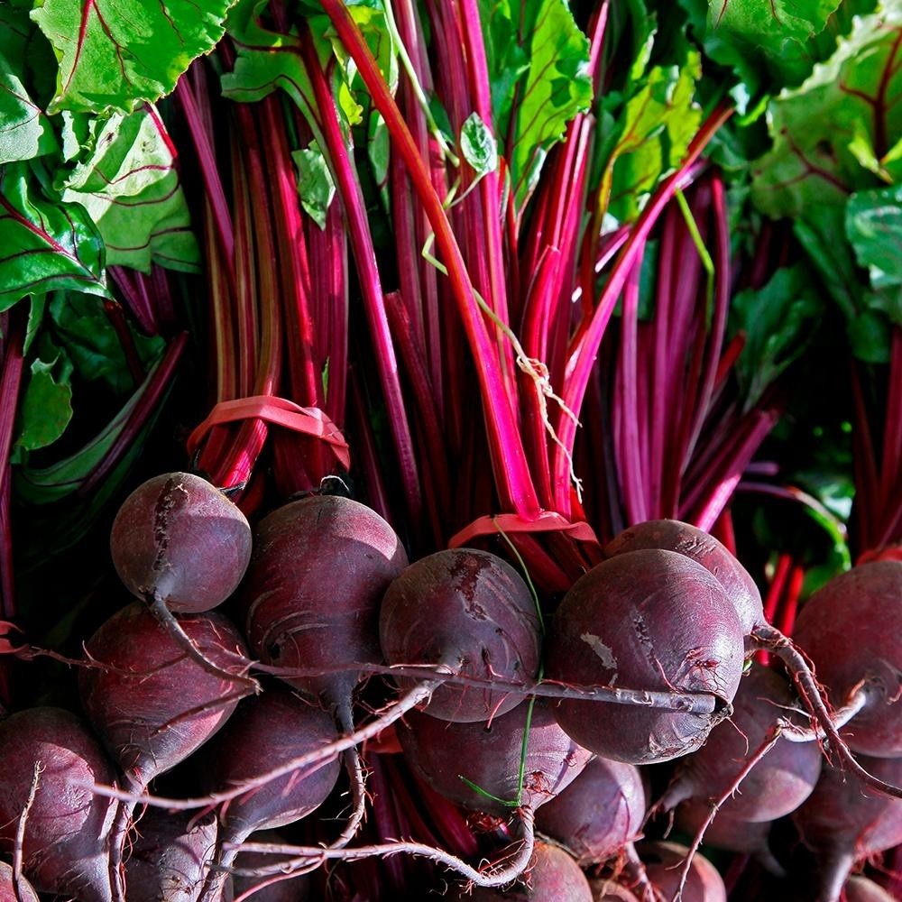 NordicRdbede500gr-02