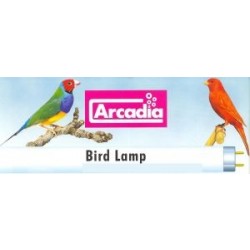 ArcadiaBirdLamp26mm-20