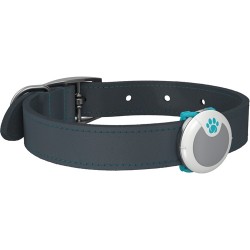 DOGANIMOBEHAVIORALMONITOR-20