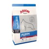 ArionPUPPYMEDIUMLAMBRICE-01