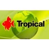 TROPICALCichlidGran-01