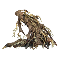 SF Bonsai Root