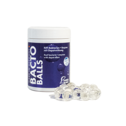 Bacto Reef Balls