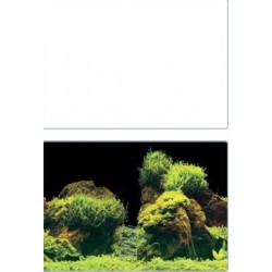 SUPERFISH Deco Poster E