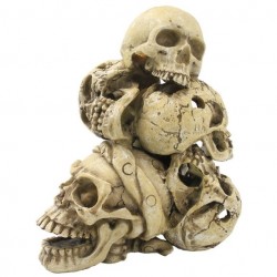 SUPERFISH Skull Mountain (A4021330)