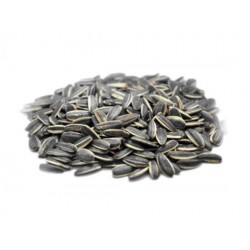 Stribet solsikkefrø